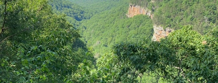 Cloudland Canyon State Park Cabins is one of Camping and Glamping.