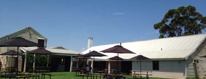 St Leonards Vineyard is one of Wineries In Australia.