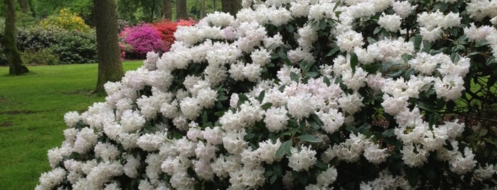 Rhododendronpark is one of สถานที่ที่บันทึกไว้ของ Sevgi.