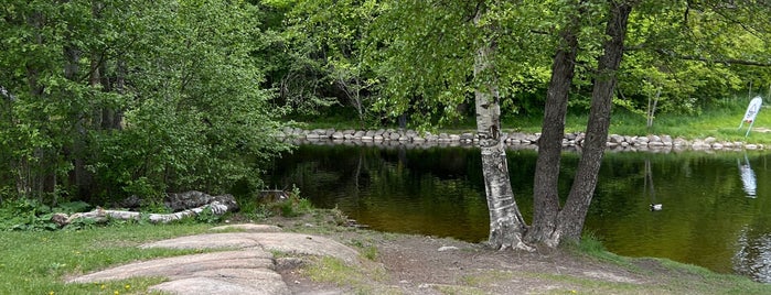 Frysja / Brekkedammen is one of Nordic countries.