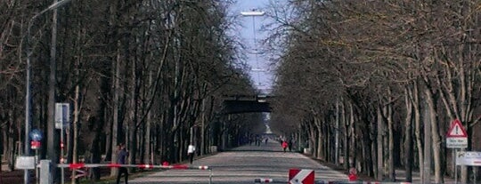 Prater Hauptallee is one of Ö-Untiefen nach Jelinek.