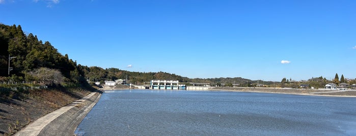 ダム展望テラス is one of 高滝湖畔.