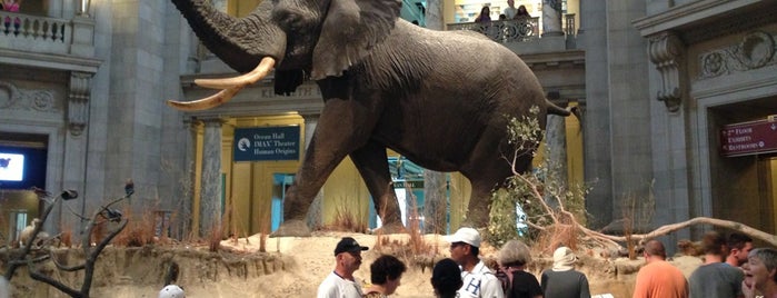 Museo Nacional de Historia Natural del Instituto Smithsoniano is one of Washington D.C.