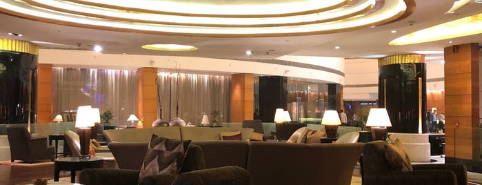 The Radisson Blu Plaza is one of Delhi Hotels.