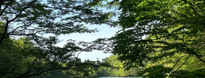 鶏頭場の池 is one of 東北.