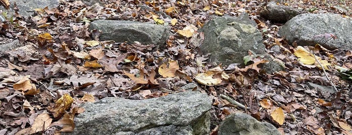 Veteran's Memorial Park Disc Golf Course is one of Connecticut Disc Golf Courses.