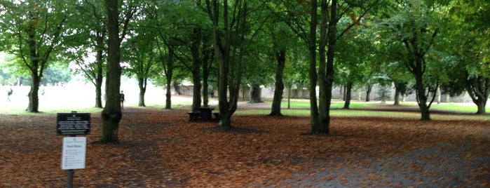 Kilkenny Castle Park is one of Kilkenny.