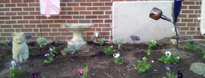 Garden In A Flower Pot is one of Norfolk and VB Favorites.
