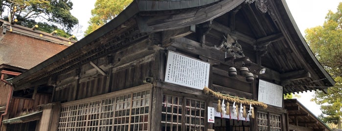 Sakurai Shrine is one of 観光7.