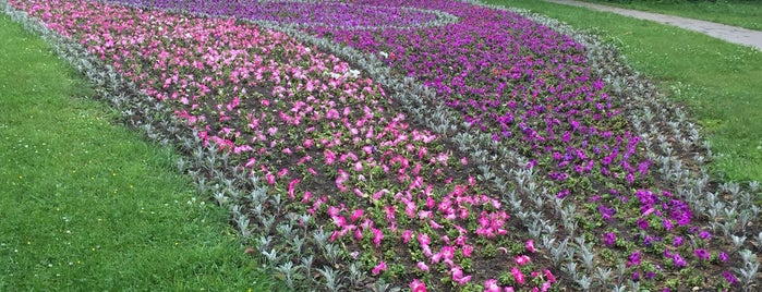Аллея цветов is one of парки и аллеи.