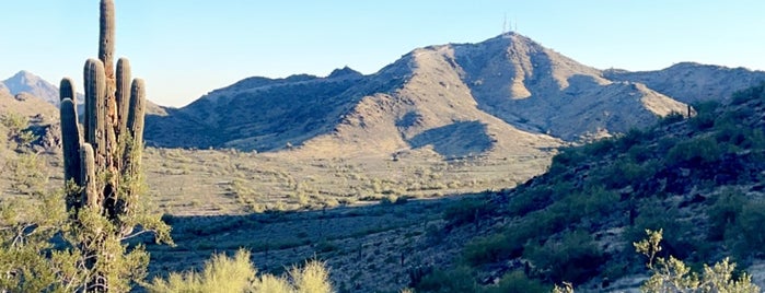 Shaw Butte Summit is one of Phoenix, Arizona.