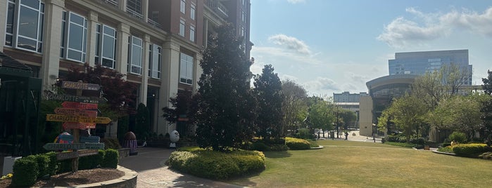 The Green is one of really awesome public spaces in North Carolina.