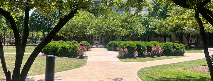 DePaul University Quad is one of Lincoln Park Campus History.