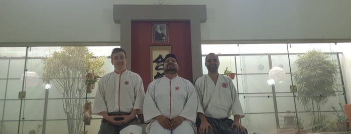 Instituto Maruyama de Aikido is one of Favoritos.