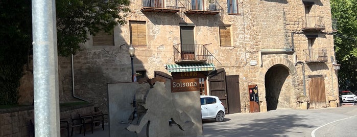 Solsona is one of Municipis catalans visitats.