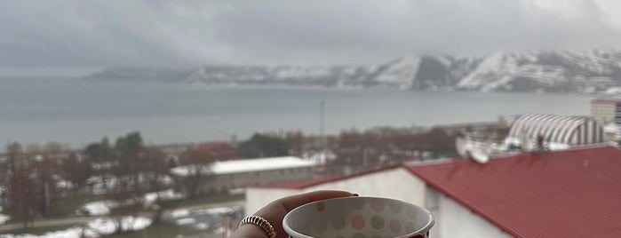 TAŞAR ROYAL HOTEL is one of Çınar : понравившиеся места.