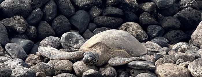 Kalepolepo Park is one of Maui Beaches.