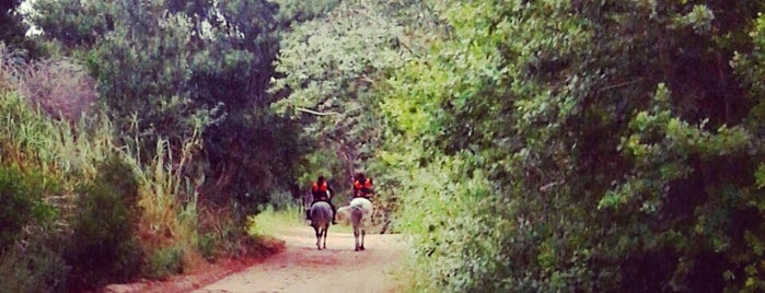 Bosques De Carilo is one of Tempat yang Disukai Lucas.