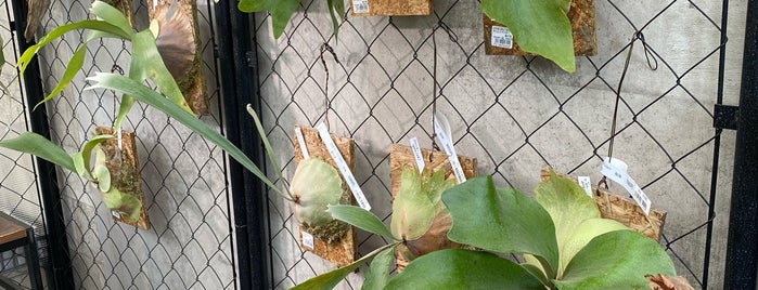 コーナン 港北インター店 園芸館 gardens is one of 神奈川散歩.