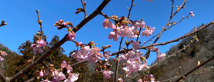 緑の休暇村 青根キャンプ場 is one of 行きたいキャンプ場.