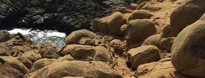 Harmony Headlands State Park is one of Locais curtidos por eric.