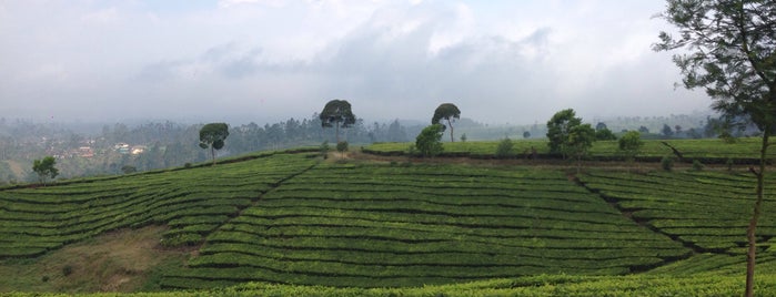 Pangalengan is one of Bandung Selatan Tur.