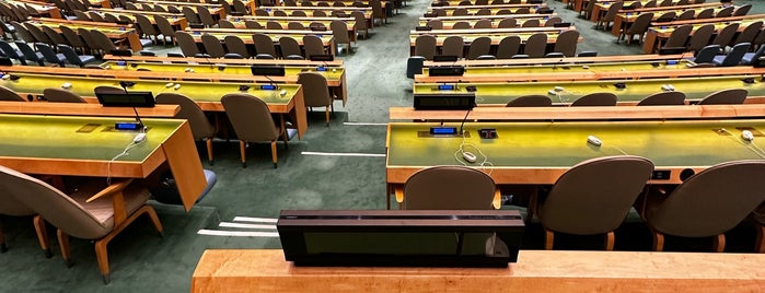 Generalversammlung der Vereinten Nationen is one of Orte, die Bridget gefallen.
