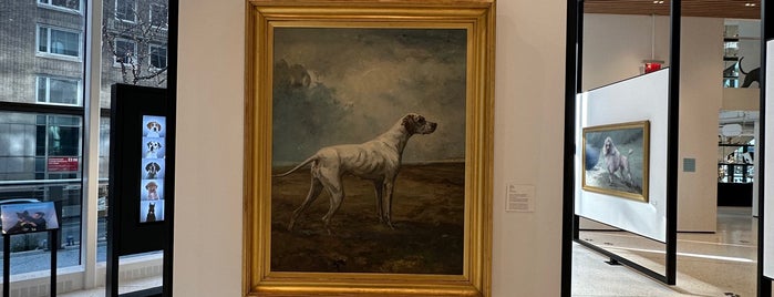 American Kennel Club Museum of the Dog is one of Free time in NYC.