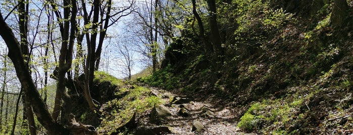 Кокалянски урвич (Kokalyanski urwitch fortress) is one of Bulgarian Beauty 🇧🇬.