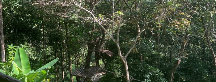 Tarzan Adventure Phuket is one of Thailand 🇹🇭.