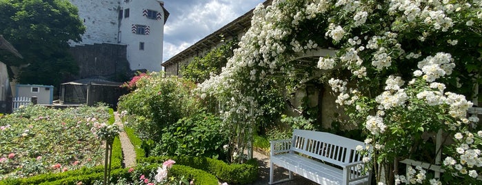 Schloss Wildegg is one of Castles.