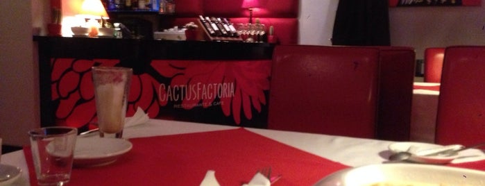 Cactus Factoria is one of Poznan Eating Guide.