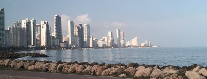Muelle Turístico De Cartagena is one of Elyさんのお気に入りスポット.