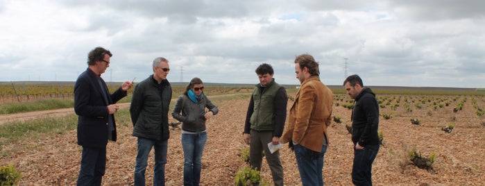 Punto de Información Turístico y Viticultural SECAVER is one of La Seca (Valladolid).