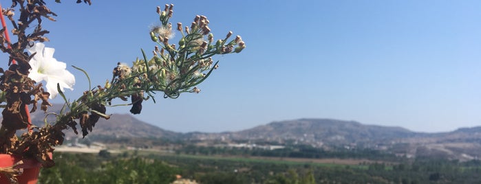 Cafe Garaj is one of Nazo'nun Beğendiği Mekanlar.