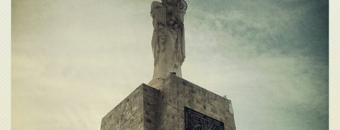 Монумент "Света Богородица" is one of สถานที่ที่ Нефи ถูกใจ.
