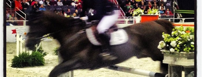 Washington International Horse Show is one of Someday... (The Northeast).