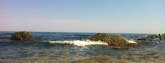 Каменный Пляж is one of Пiвденнi плани.