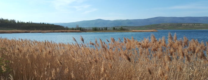 Jezero Milada is one of Locais curtidos por Radoslav.