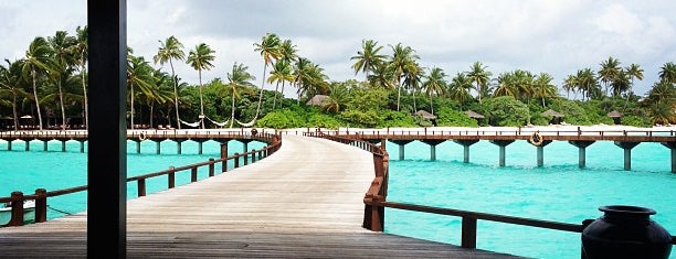 The Sun Siyam Iru Fushi Maldives is one of Travel.