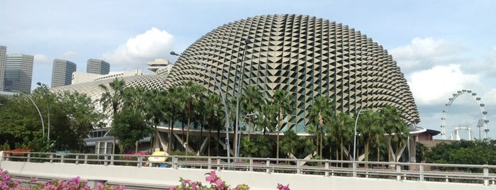 Esplanade - Theatres On The Bay is one of Singapore for friends.