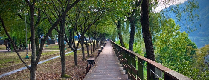 로하스대청공원 is one of Tempat yang Disukai Won-Kyung.