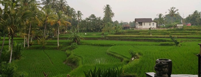Madani Antique Villas is one of Bali.