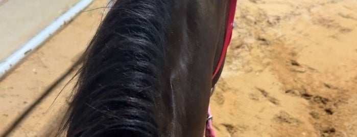 Voyage Equestrian Club is one of Horse ridding Riyadh.