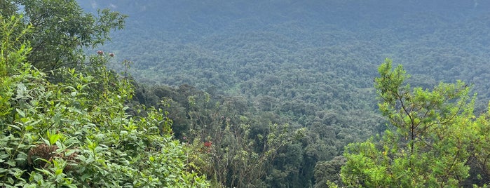 Nyungwe National Park is one of Africa.