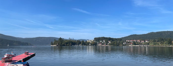 Schluchsee is one of Baden Seen.