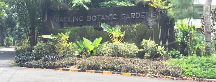 Makiling Botanic Gardens is one of Laguna Adventure.