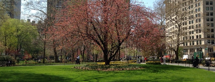 Madison Square Park is one of Nova York.