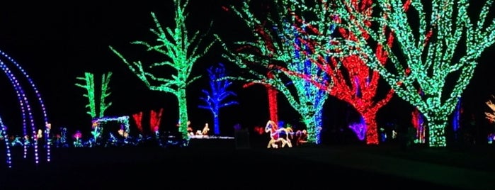 DC-Area Holiday Light Displays