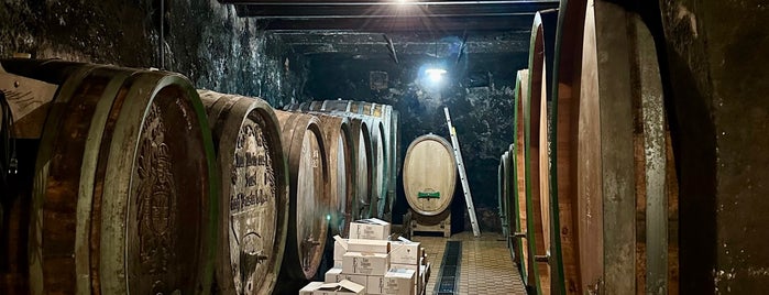 Weingut Triebaumer E. is one of Lieux qui ont plu à Sveta.